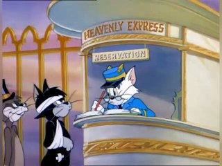 Tom And Jerry Cennet Kedisi