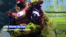Nouvel An lunaire: danse du lion sous-marine dans un aquarium malaisien