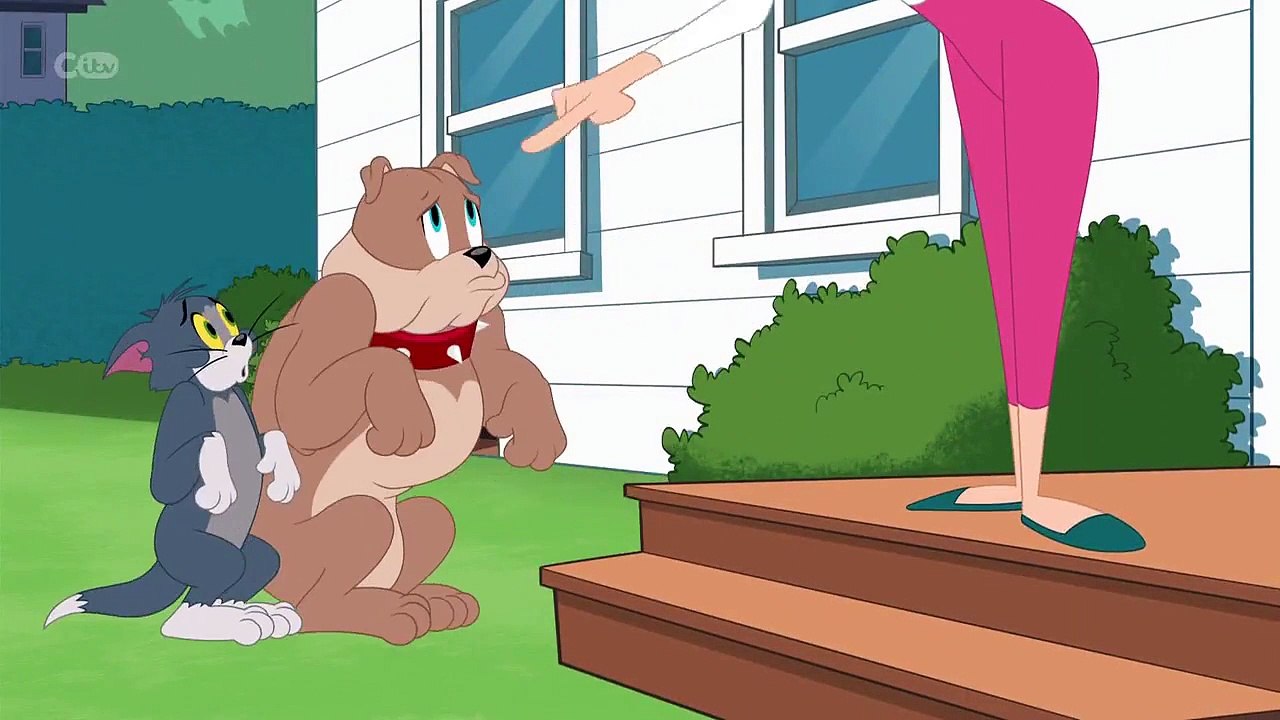 The Tom and Jerry Show - Se3 - Ep25 - Costume Party Smarty HD Watch