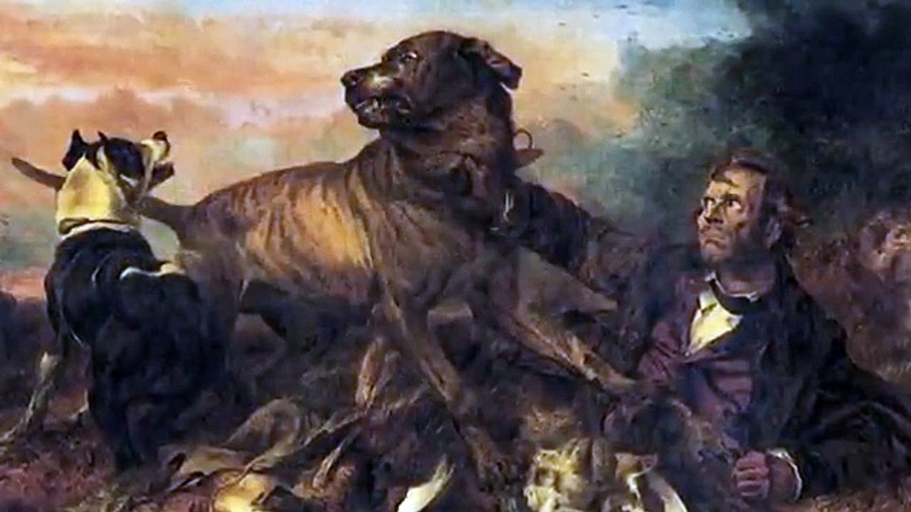 Too Cute! - Ep49 HD Watch