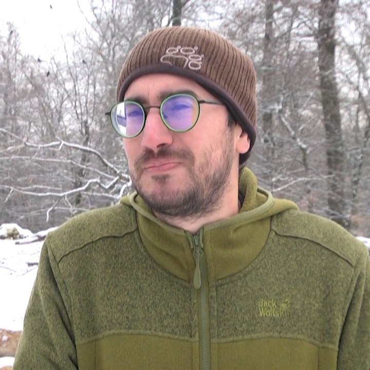 Une nouvelle meute de loups blancs au parc animalier de Sainte-Croix