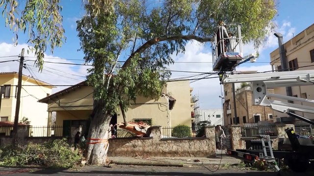 Las temperaturas subirán mañana, las heladas y nevadas se reducirán a zonas de montaña