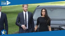 Meghan Markle sur un site pour adultes, le prince Harry dégoûté et gêné : 