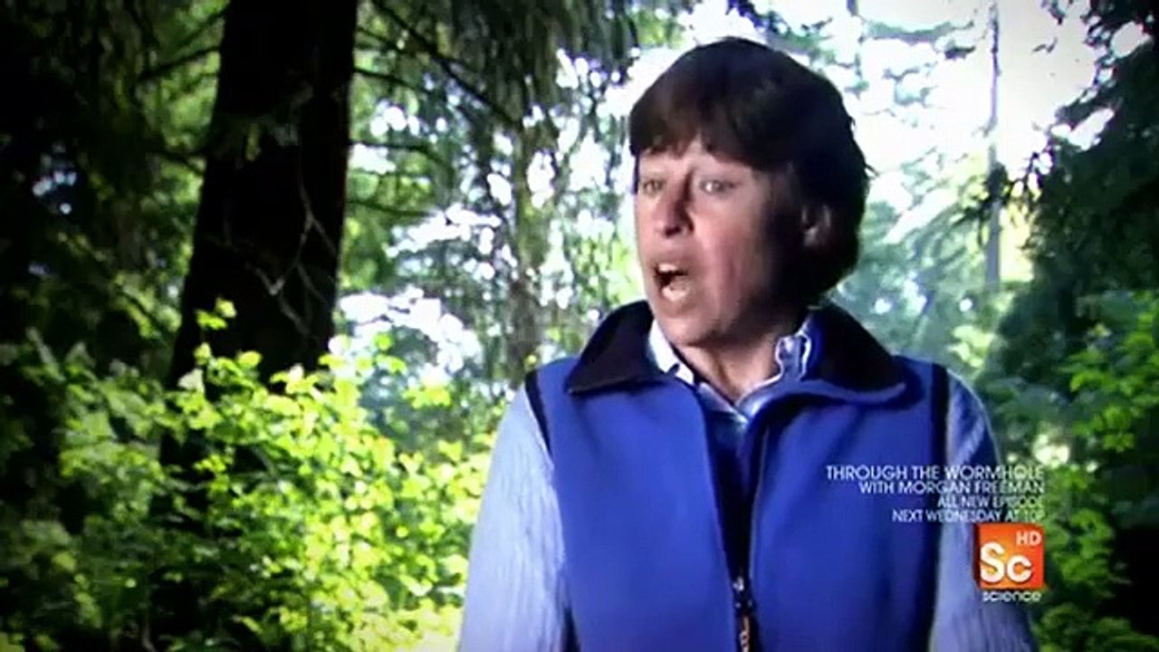 Through the Wormhole - Se1 - Ep06 HD Watch