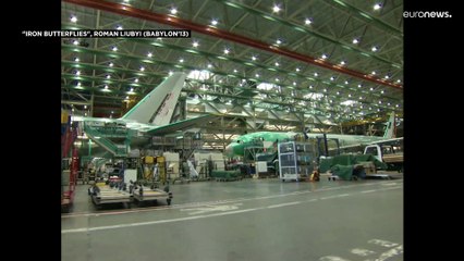 "Iron Butterflies" revient sur la tragédie du crash du MH17 dans le Donbass