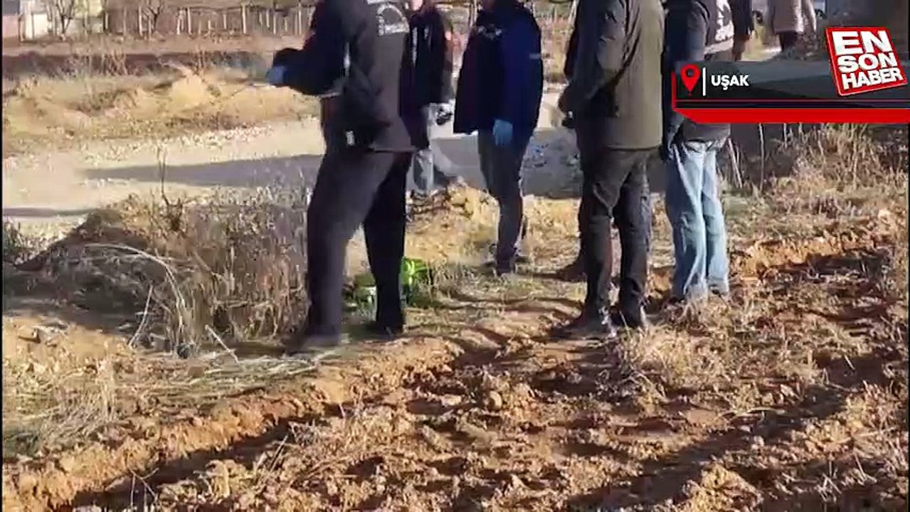 Uşak'ta yeni doğmuş bebek cesedi bulundu