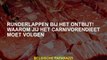 Bieflappen bij het ontbijt! Waarom zou je het carnivoor -dieet moeten volgen