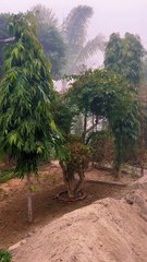 Nature | Lovely Weather