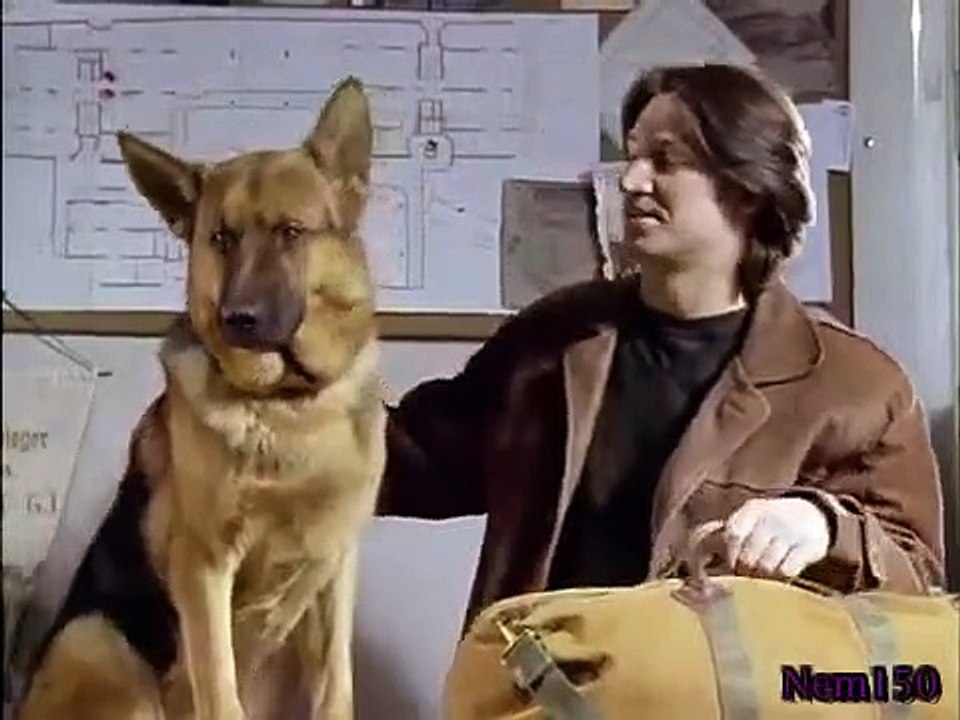 Rex - A Cop's Best Friend - Se1 - Ep07 HD Watch