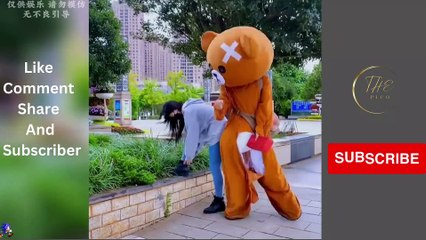 Funny And Naughty Bears - Funny videos