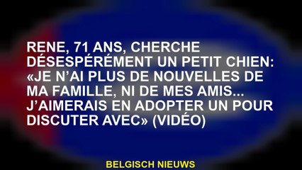 René, 71 ans, à la recherche désespérément d'un petit chien: "Je n'ai aucune nouvelle de ma famille,