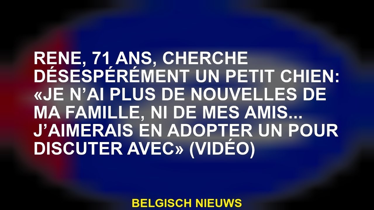 René, 71 ans, à la recherche désespérément d'un petit chien: "Je n'ai aucune nouvelle de ma famille,