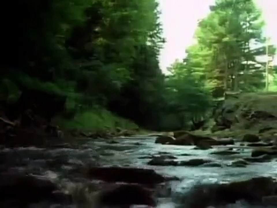 Tales from the darkside - se2 - ep24 - the casavin curse hd watch