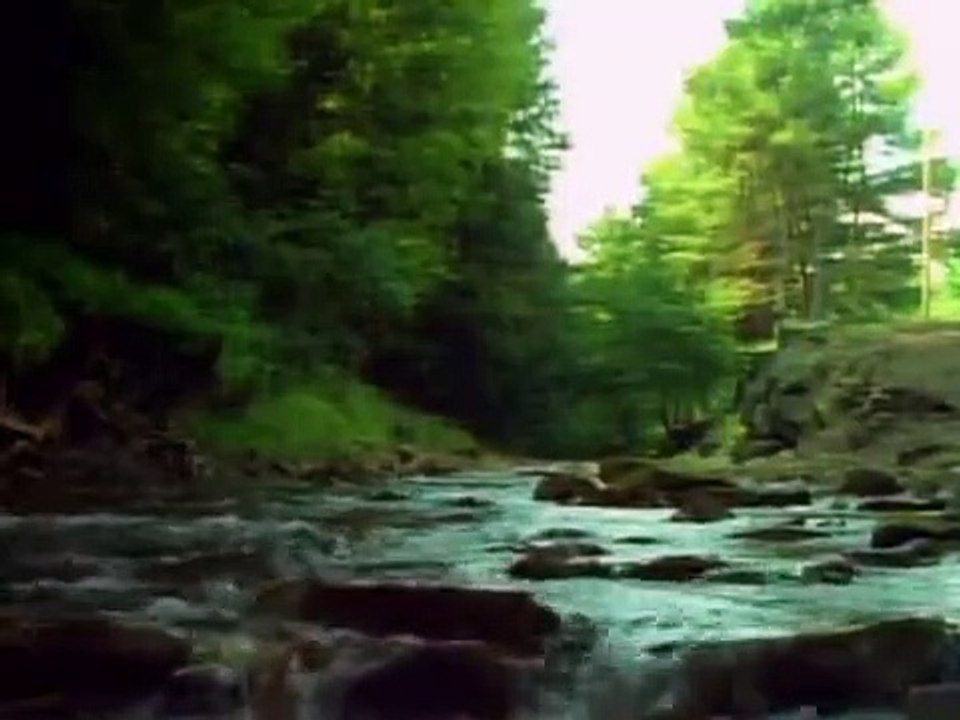 Tales From the Darkside - Se3 - Ep01 - The Circus HD Watch