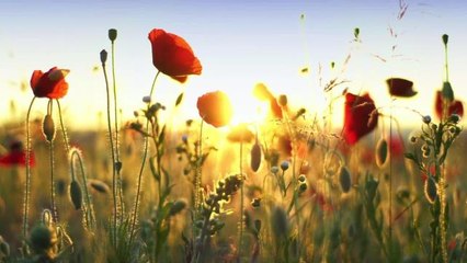 Karamollaoğlu: Mayıs'ta İklim Değişecek