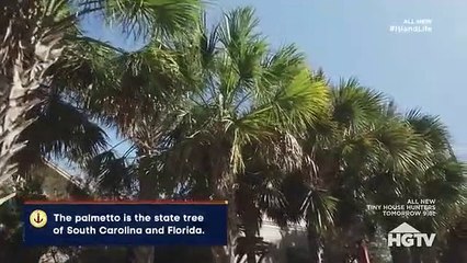 Island Life - Se8 - Ep10 - Family Fun On Isle Of Palms HD Watch