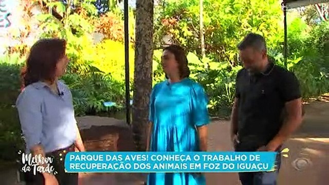 Caixa e Alex visitam o Parque das Aves em Foz do Iguaçu | Melhor Da Tarde 18/01/2023 16:54:09