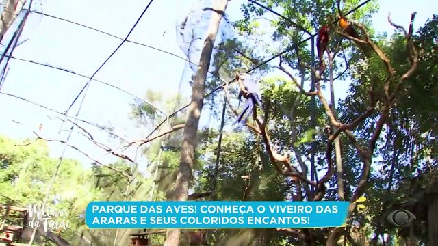 Em Foz do Iguaçu, Catia Fonseca conhece o Parque das Aves 18/01/2023 16:54:15