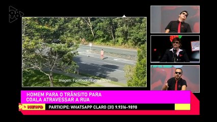 Ricardo Amado 18/01/23