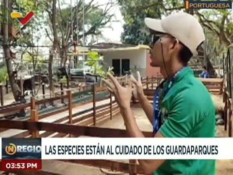 Portuguesa | Parque Los Samanes preserva especies en peligro de extinción