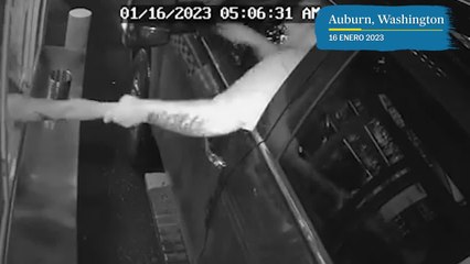Intentan secuestrar a una barista por ventanilla en Washington