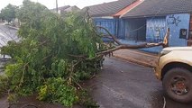 Chuva com vento provoca estragos na tarde desta sexta-feira em Umuarama -imagens