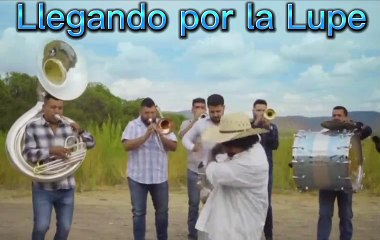 Ya me pagaron Lupe voy por ti.