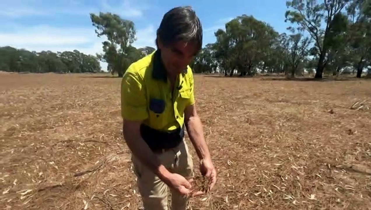 Victorian farmers hit by last year's floods still struggling