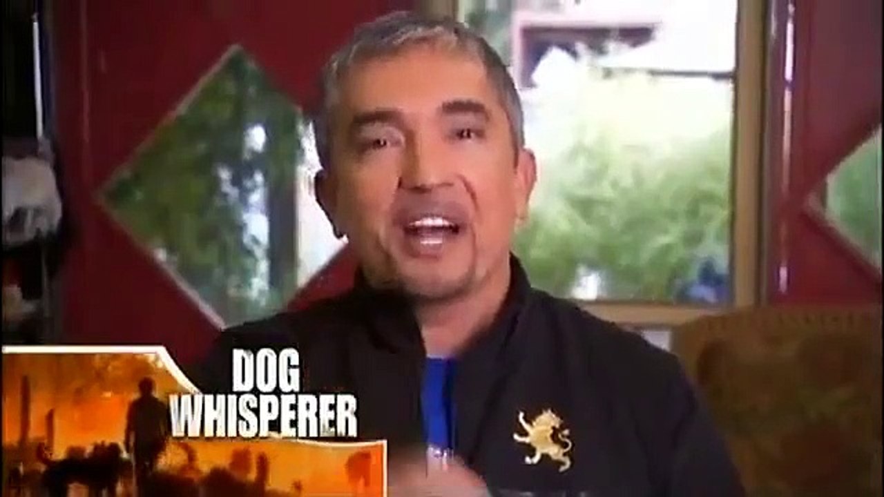 Dog Whisperer with Cesar Millan - Se4 - Ep01 HD Watch
