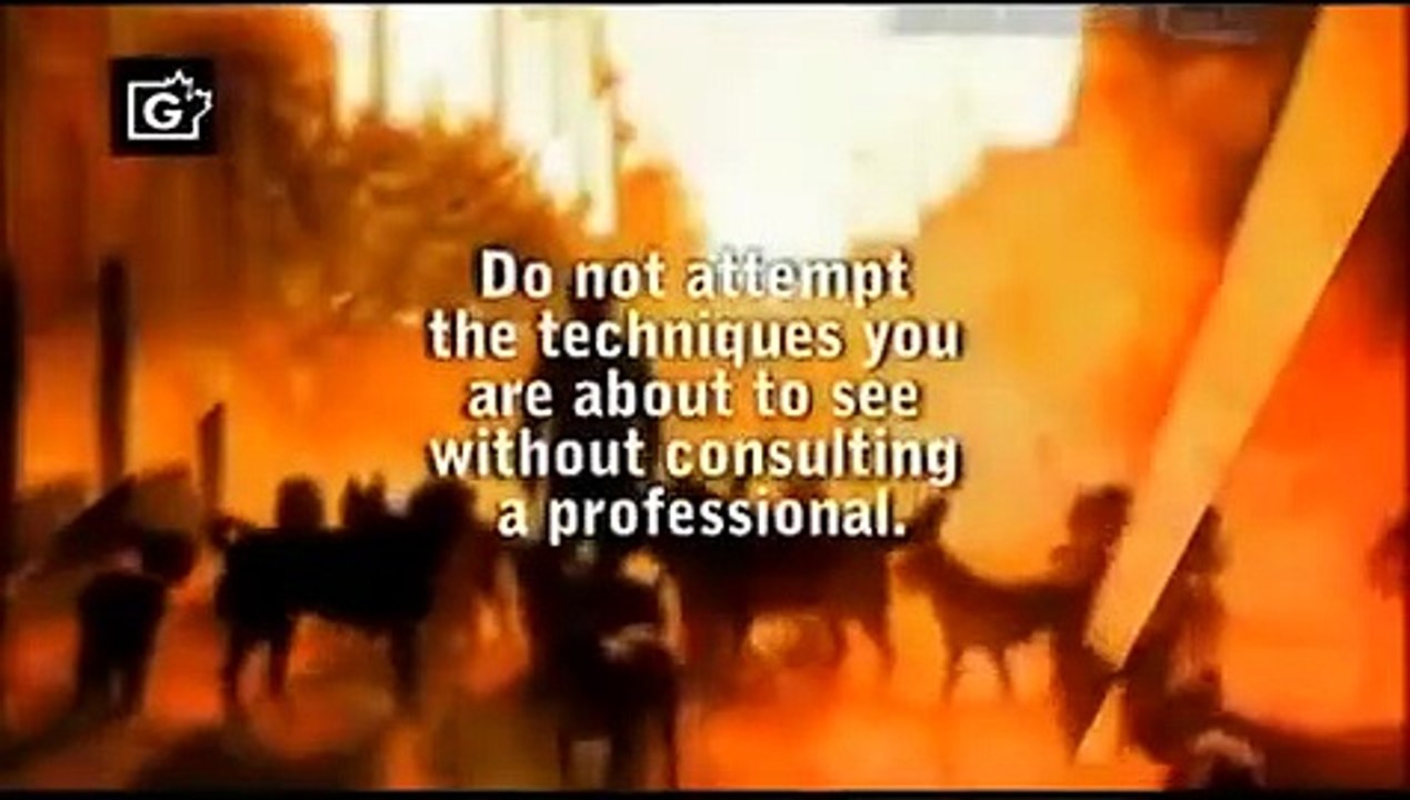 Dog Whisperer with Cesar Millan - Se4 - Ep04 HD Watch