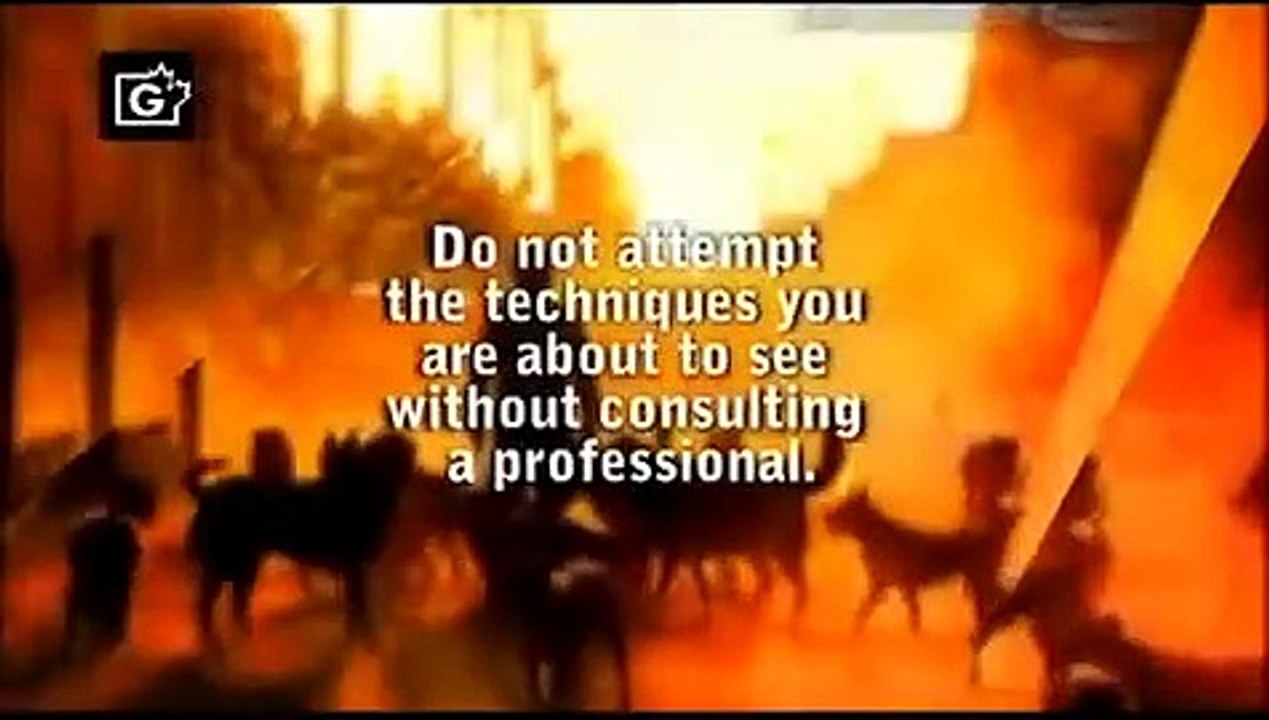 Dog Whisperer with Cesar Millan - Se4 - Ep08 HD Watch