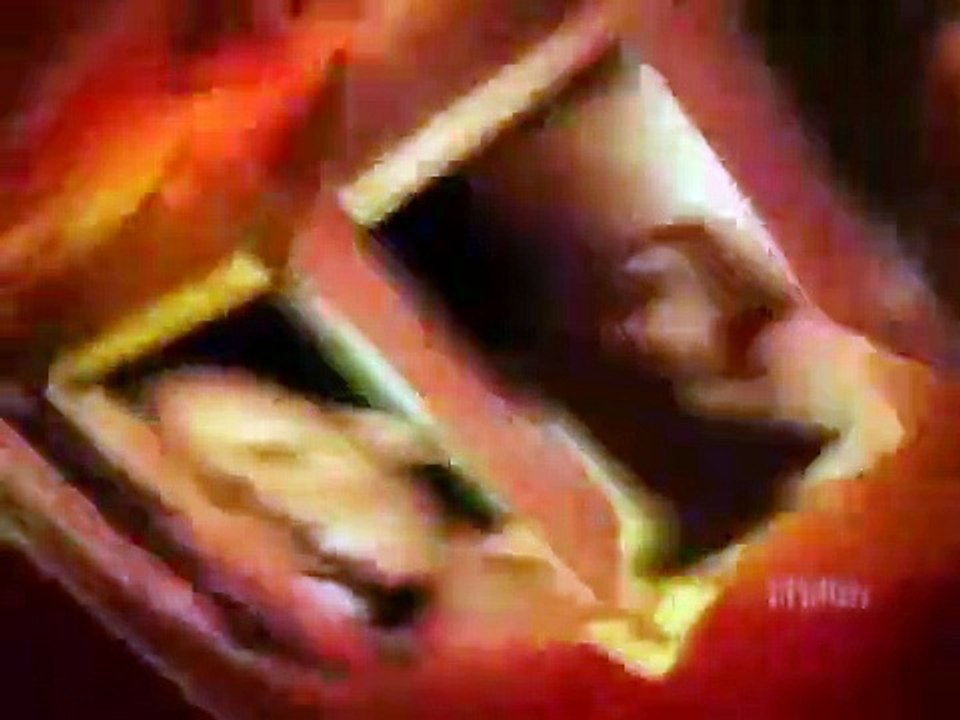 Fear Factor - Se4 - Ep17 HD Watch