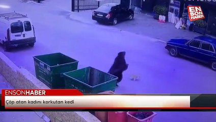 Çöp atan kadını korkutan kedi