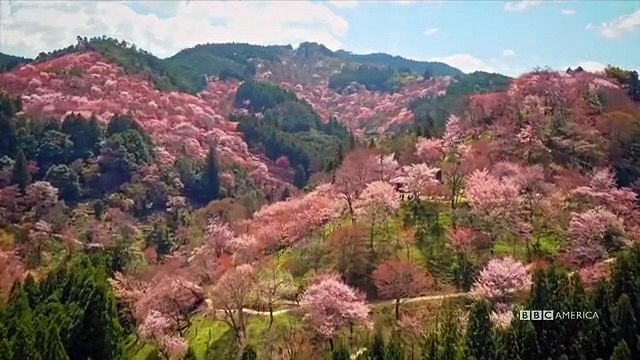 A Wild Year on Earth - Se1 - Ep02 - March-April A Time Of Renewal HD Watch