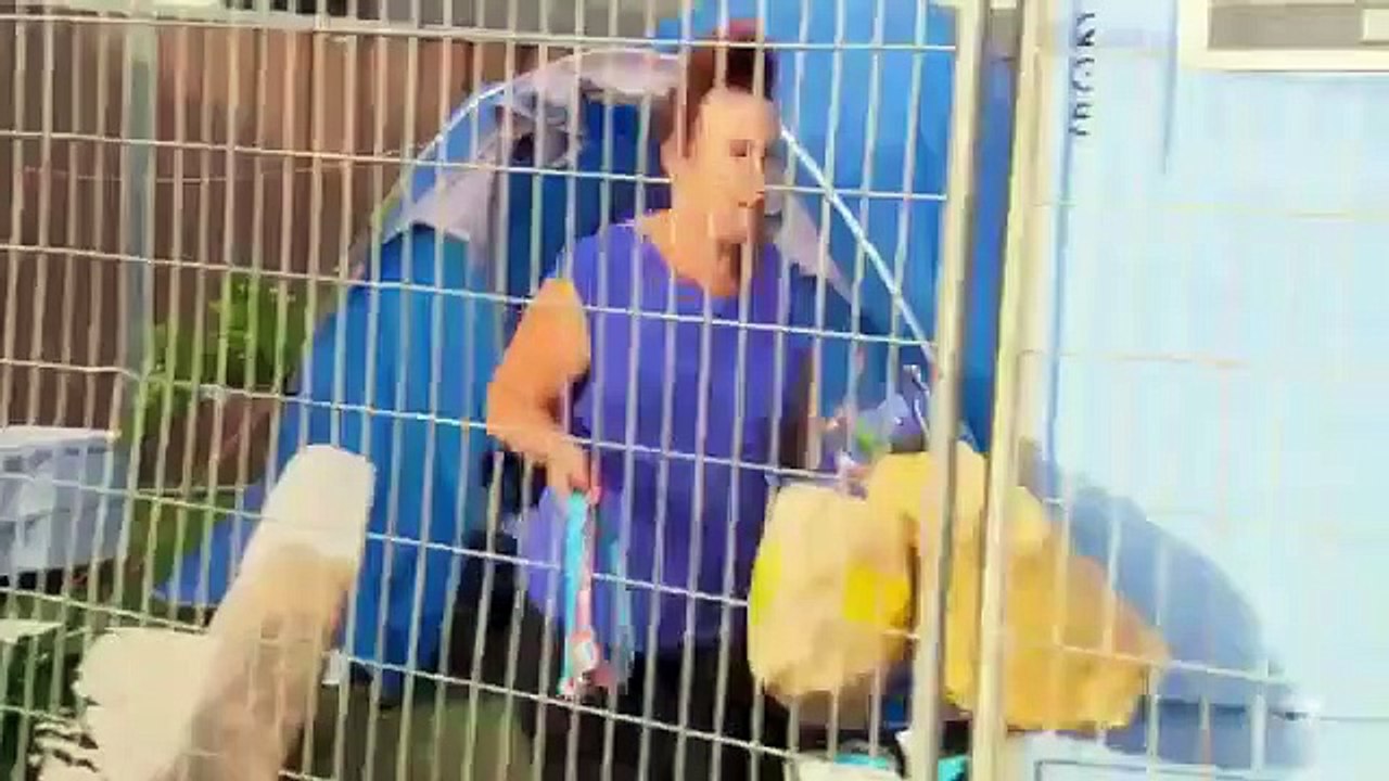 House Rules - Se5 - Ep15 HD Watch