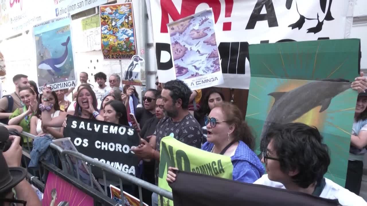 Mina Dominga cancelada