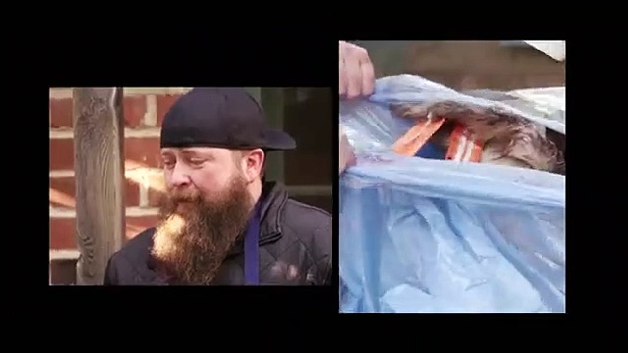 Eating History - Se1 - Ep05 HD Watch