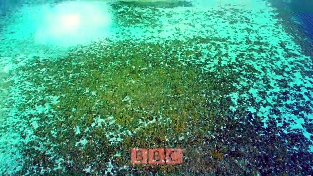 Earth's Tropical Islands - Se1 - Ep03 - Hawaii HD Watch