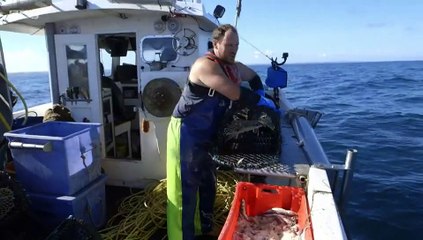 Cornwall This Fishing Life S02E01 (18 Jan 2021)