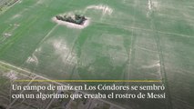 Campos de maíz con cara de Lionel Messi | El País