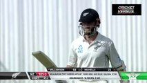 Kane williamson Batting Highlights: Kane Williamson Brilliant Knock: Pakistan vs New Zealand.