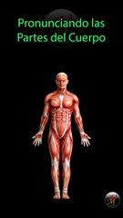 Pronunciando las Partes del Cuerpo en Español