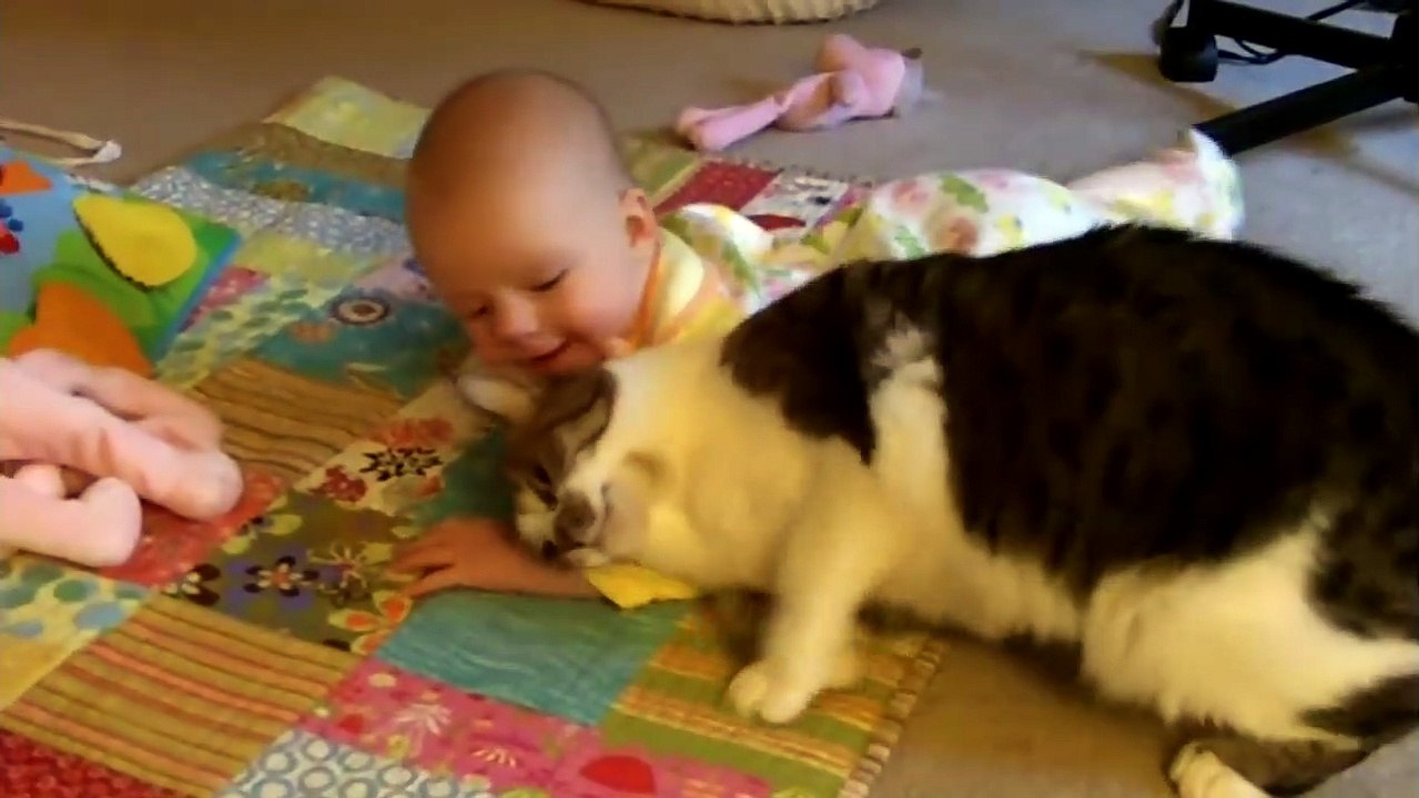 Our Babysitting Cat | funnycats