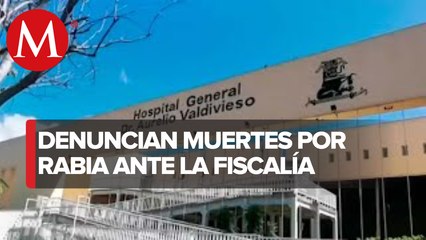 Denuncian caso de niños con rabia en Oaxaca ante Fiscalía Anticorrupción