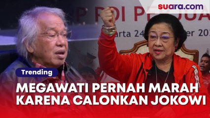 Tak Maju di Pilpres 2014, Megawati Pernah Marahi Panda Nababan karena Calonkan Jokowi