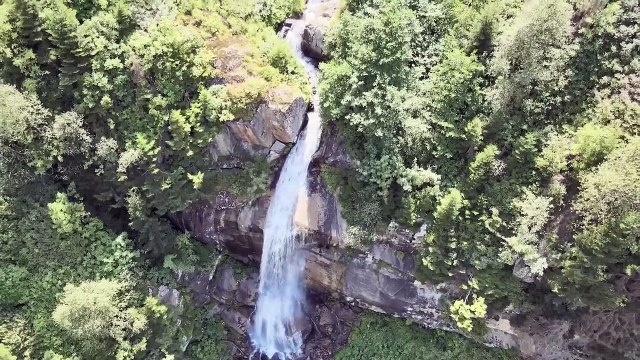 Soothing music for nerves Healing music for the heart and blood vessels, peaceful relaxation