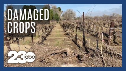California storms damage crops along the Central Coast