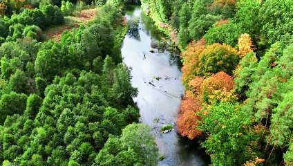 Beautiful Relaxing Music - Peaceful Soothing Instrumental Music, Stress Relief, Deep Focus Music