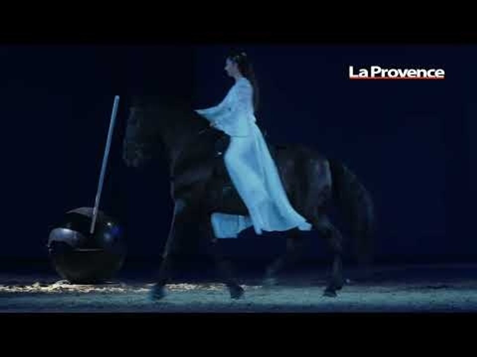 Avignon : les Crinières d’or, rendez-vous incontournable de Cheval Passion