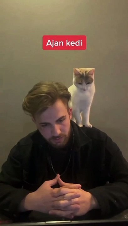 'AKP'li kedi' sosyal medyada gündem oldu